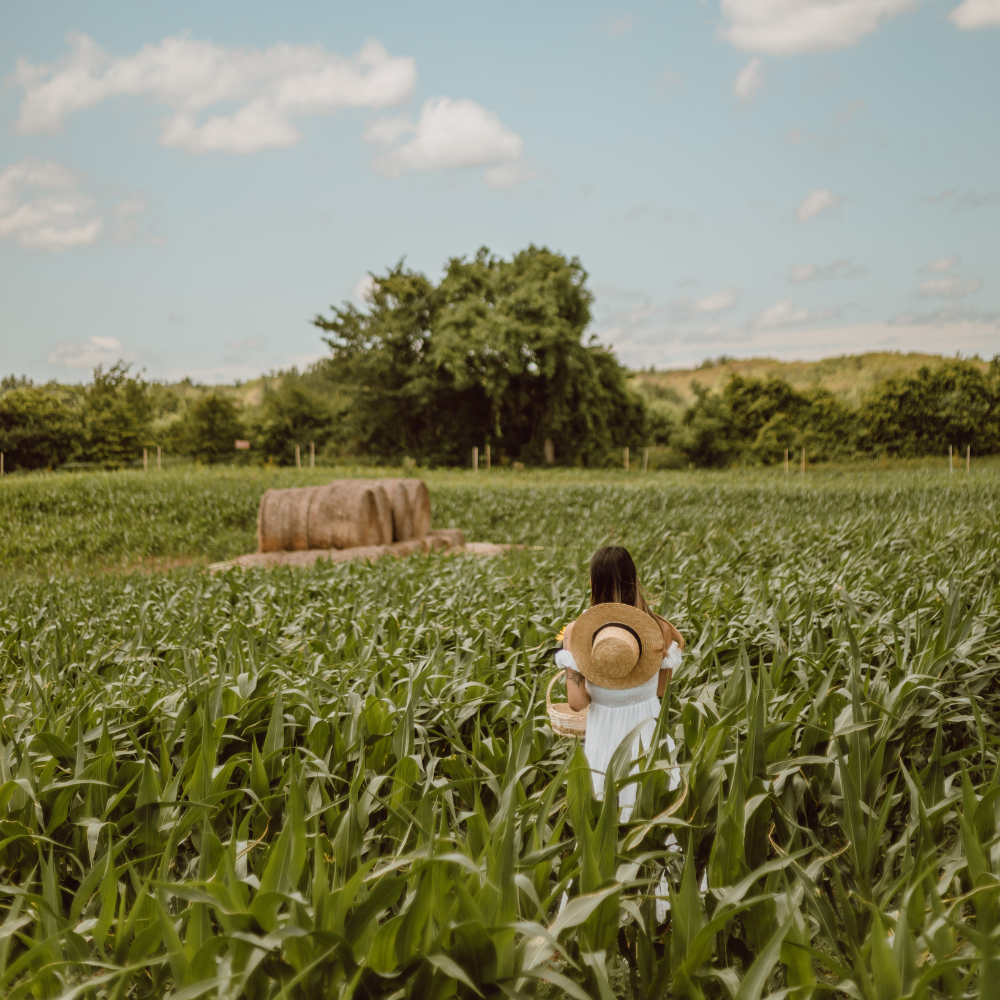 Embracing the Simple Life: A Guide to Transitioning from Farm Living to Rural Living